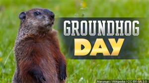 Groundhog day 